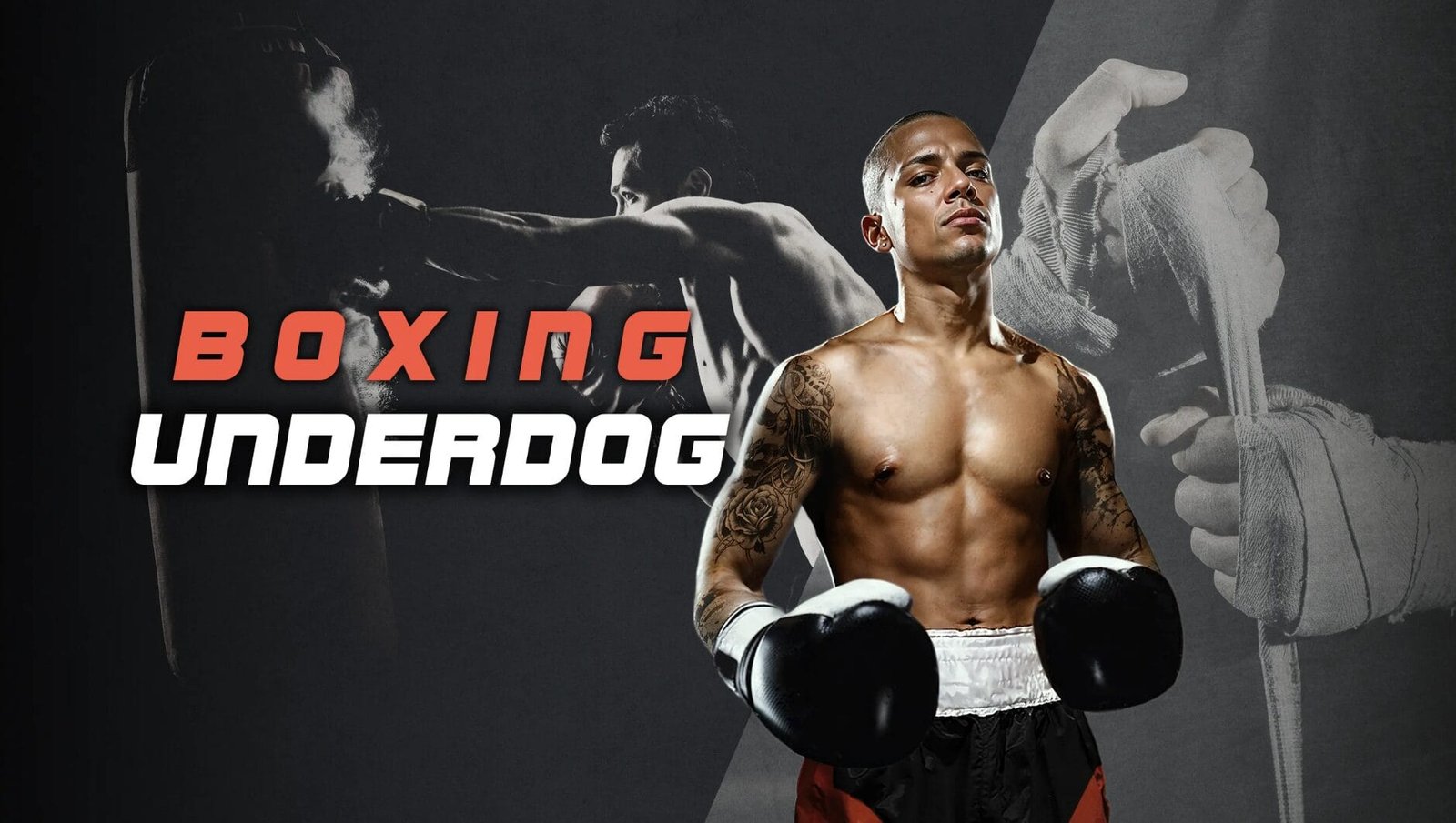 اطلاق لعبة الملاكمة Boxing Underdog لنظارات Quest. – Realm VR | عالم الواقع الإفتراضي