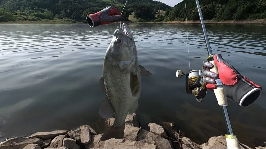 الآن يمكنك الصيد في أوروبا مع التحديثات الجديدة للعبة Real VR Fishing. – Realm VR | عالم الواقع الإفتراضي