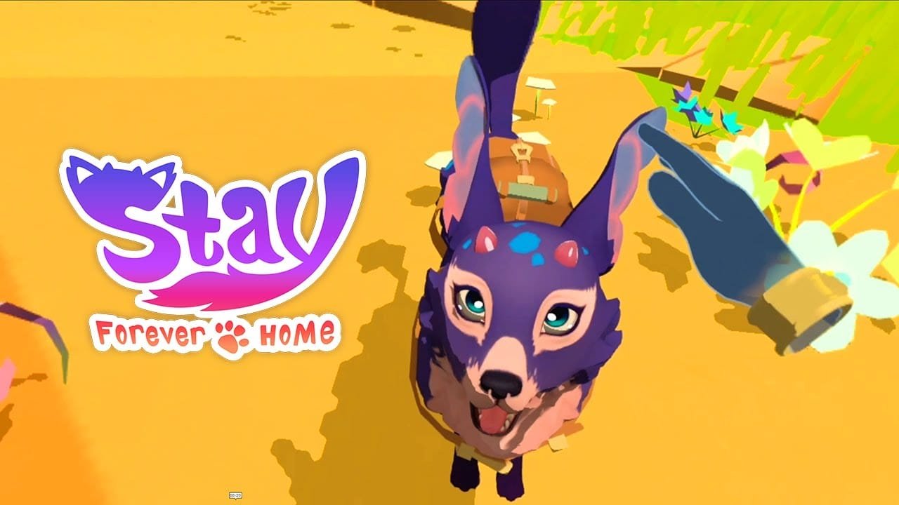قم بتربية الحيوانات الأليفة في منزلك مع اللعبة الجديدة Stay Forever Home. – Realm VR | عالم الواقع الإفتراضي
